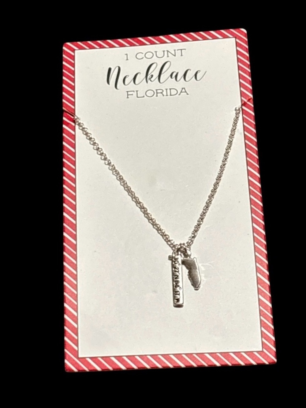 Florida Silver-Tone Necklace with State Charm